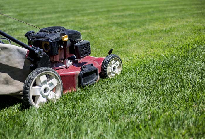 SERVICES DE TONTE DE PELOUSE À PROXIMITÉ DE CARENTAN